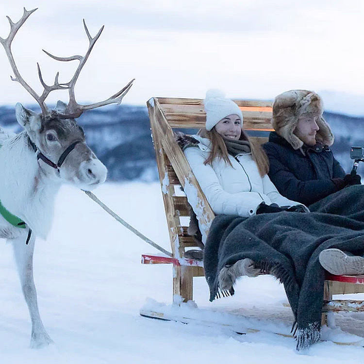 Reinsdyrsafari deluxe