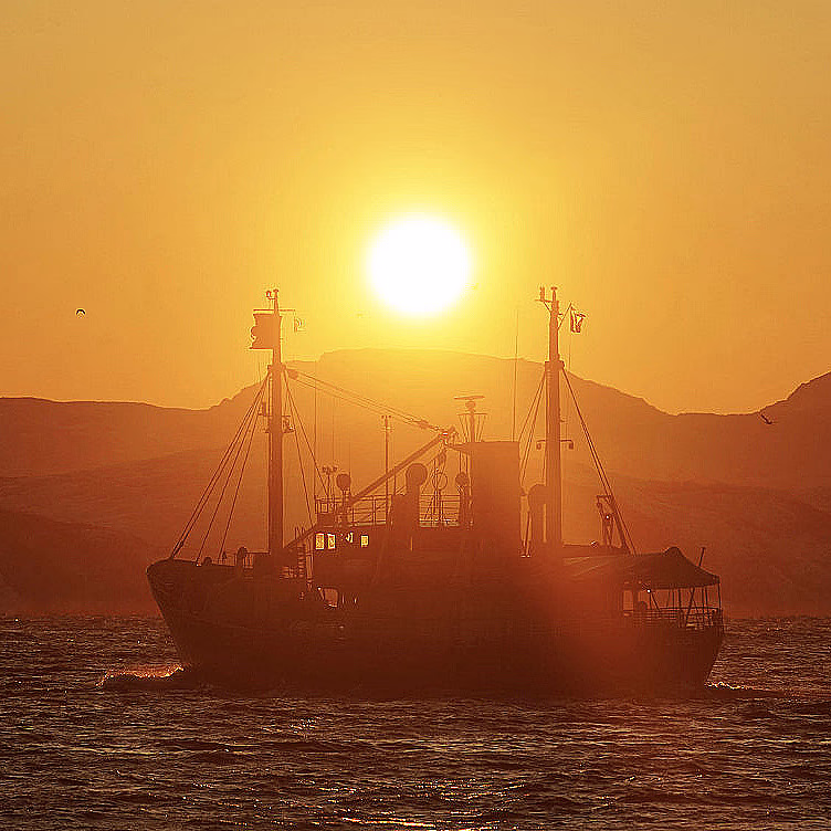 Eagle & Sunset cruise