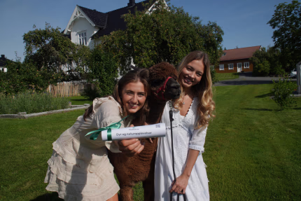 Alpakkavandring, hundekjøring og mer – gave til dyreelsker med wow-faktor