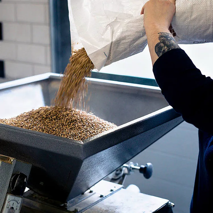 Ølsmaking og bryggeriomvisning