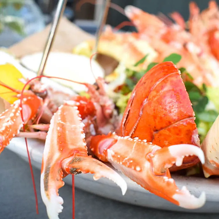 Skalldyrtallerken for to