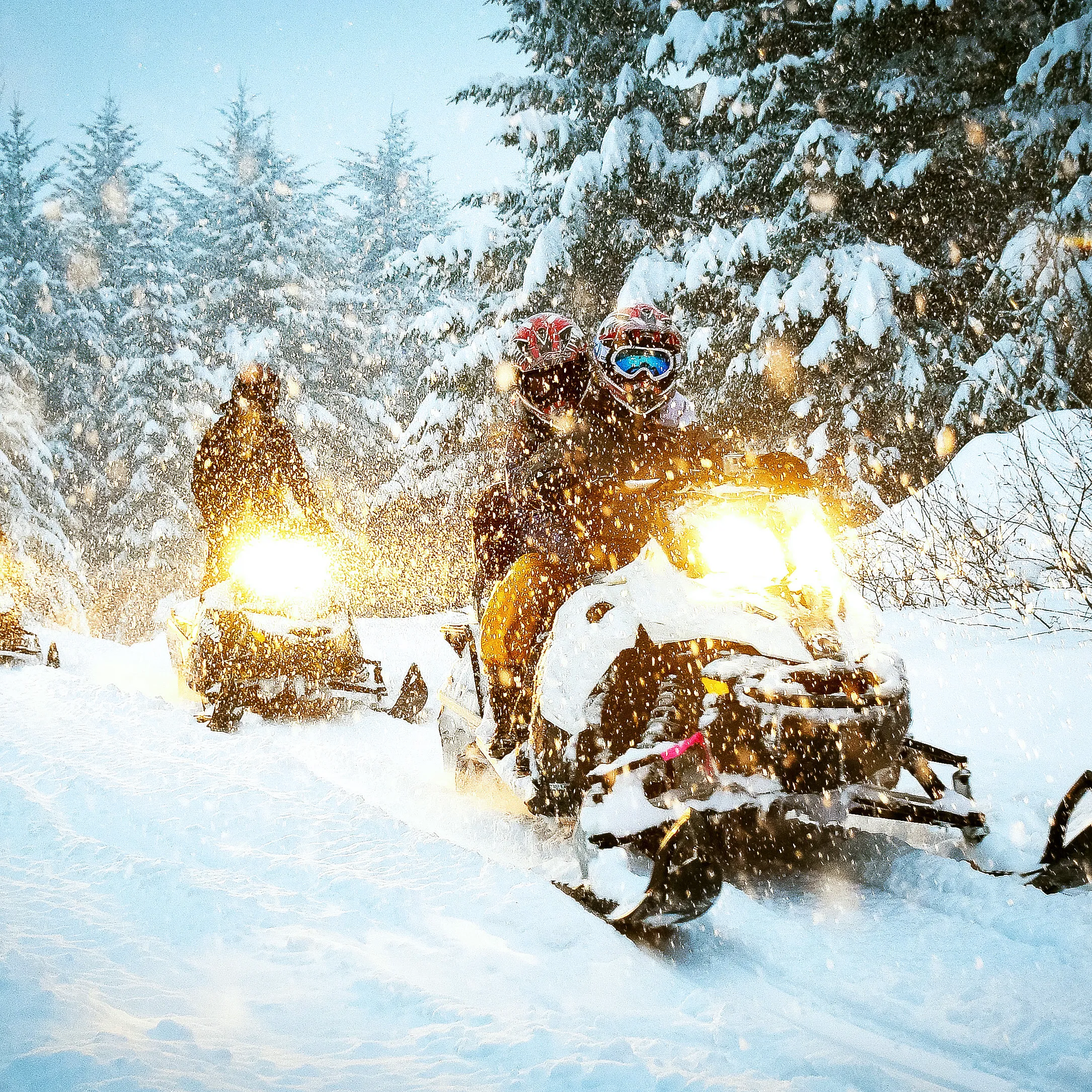 Snøscootersafari for to