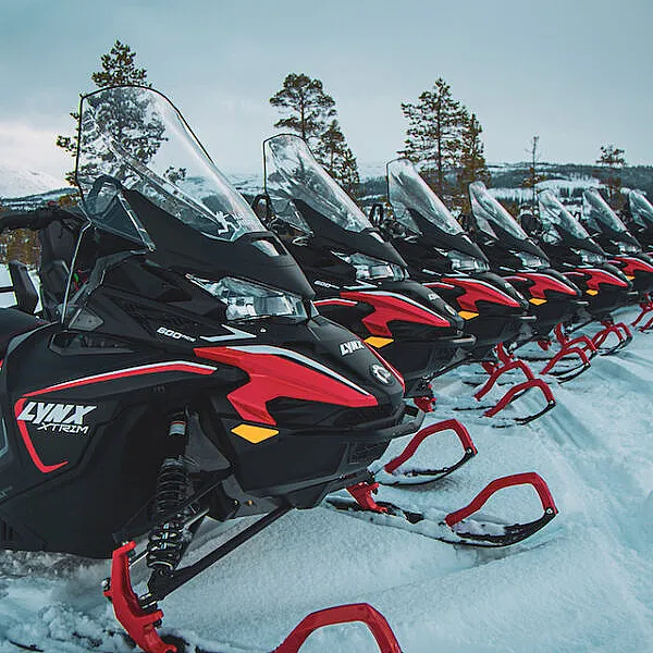 Snøscootersafari for to