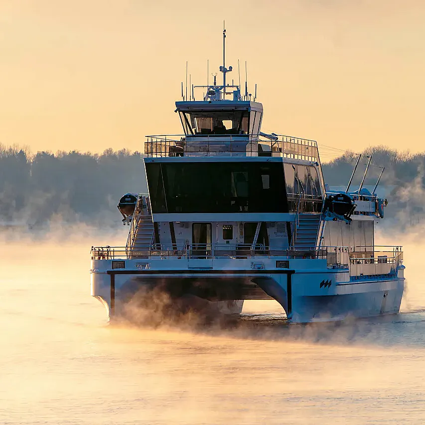 Afternoon tea cruise