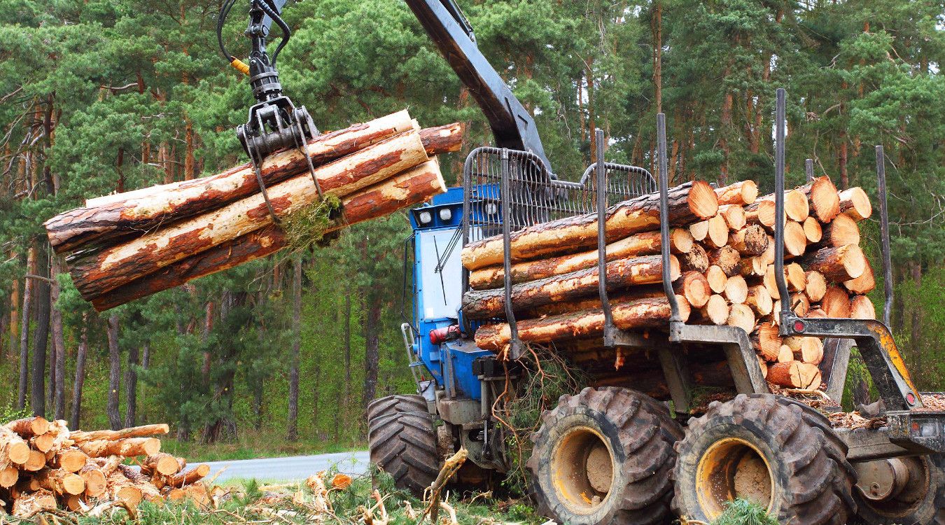 Kjør skogsmaskiner