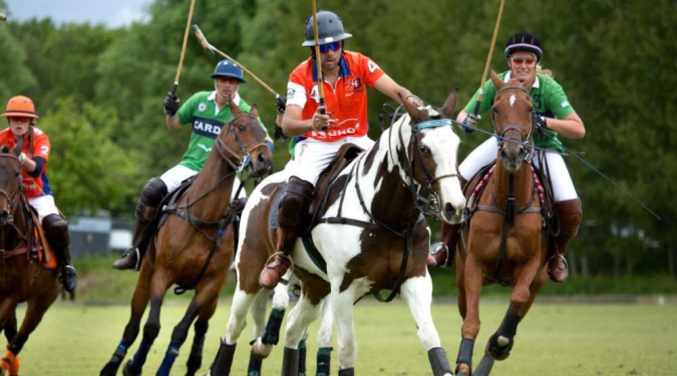 Hestepolo experience