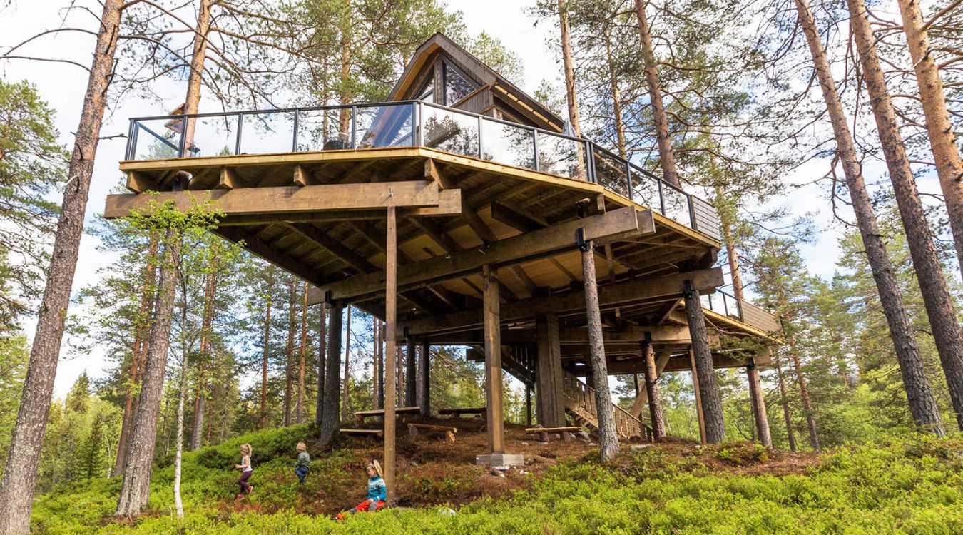 Luksuriøs tretopphytte