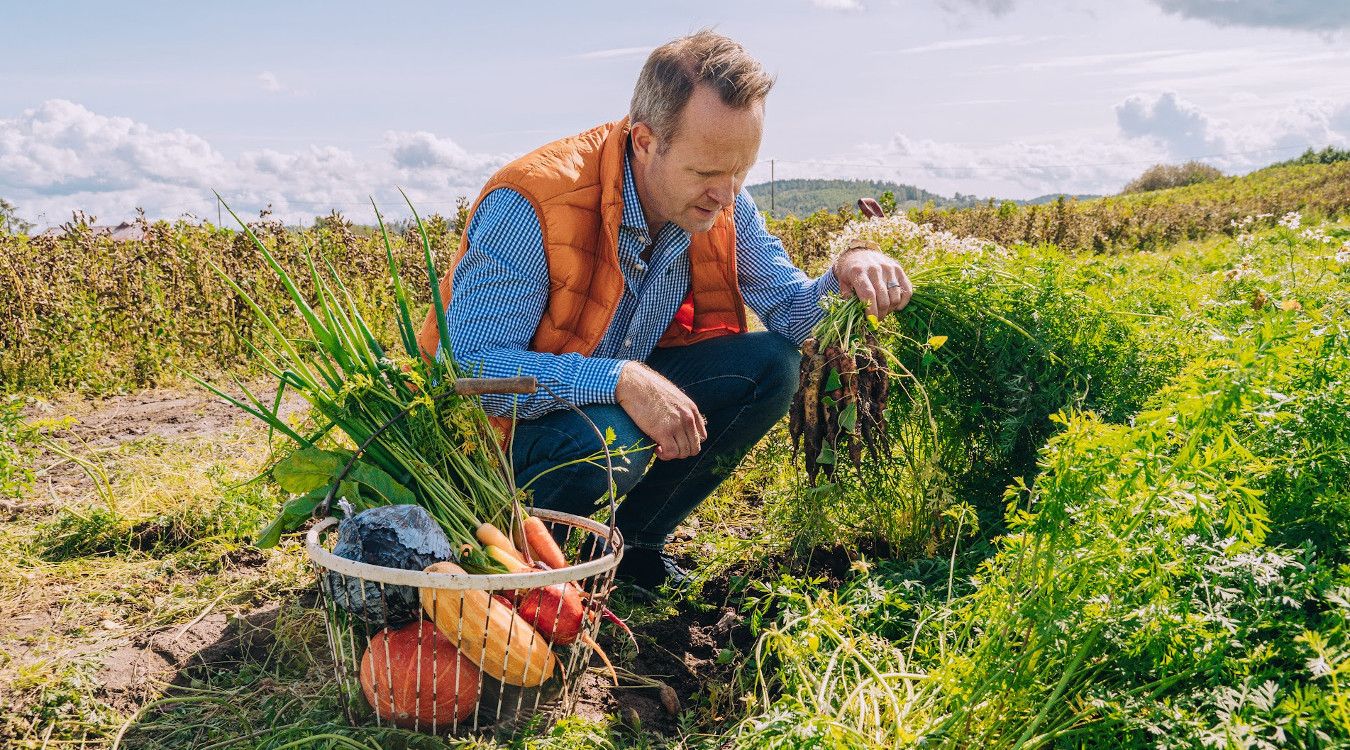 Selvplukk av sesongens grønnsaker