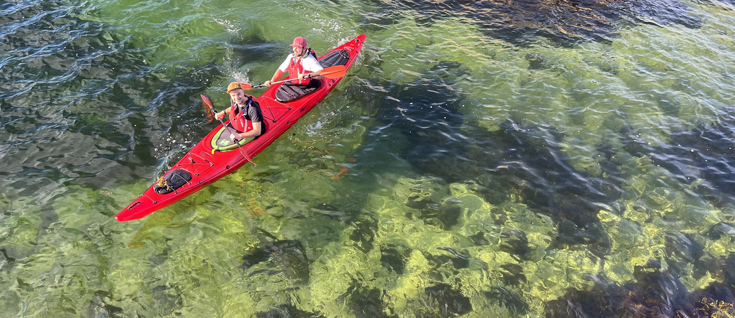 Guidet tur med havkajakk