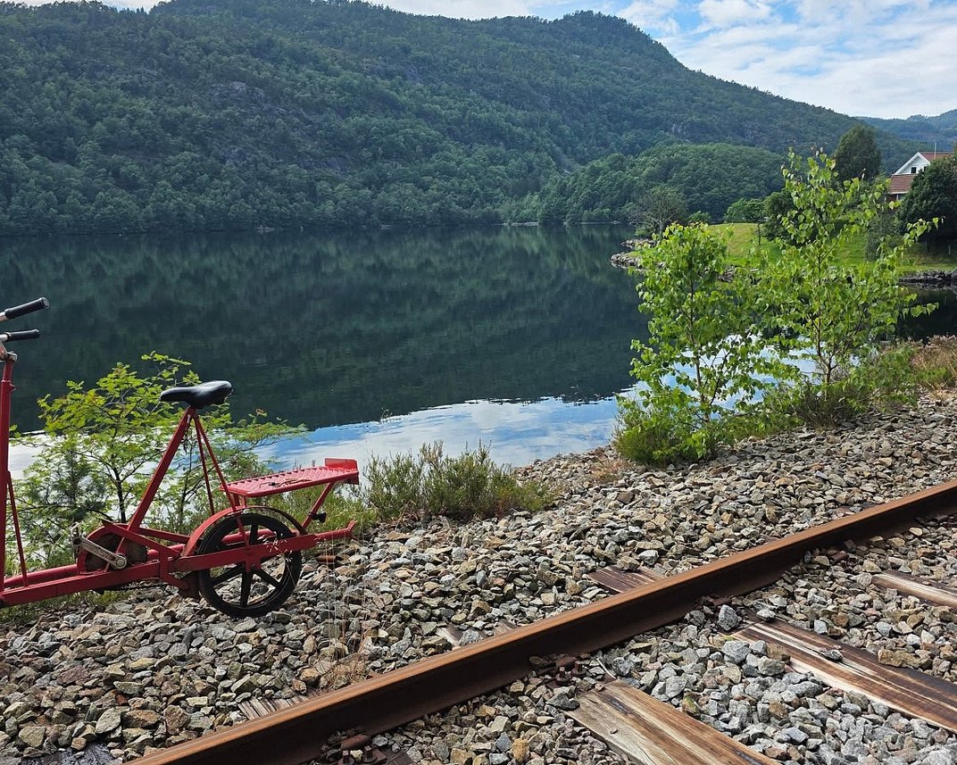 Elektrisk dresintur for familien