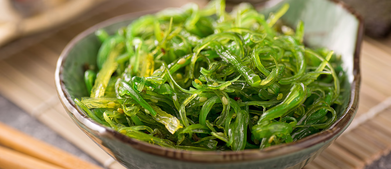 Spiselige alger med Margit Vea