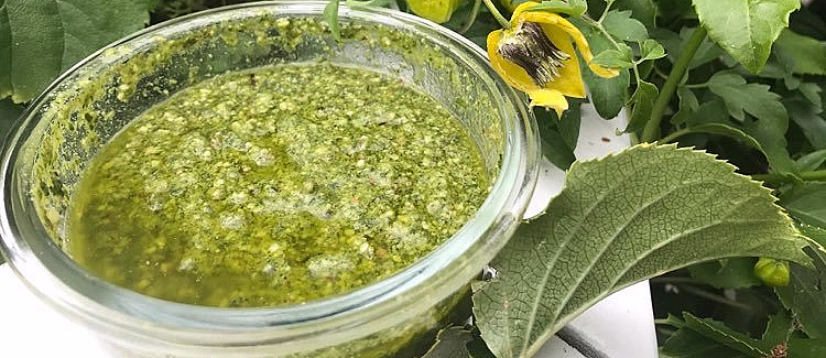 Pestokurs med Margit Vea