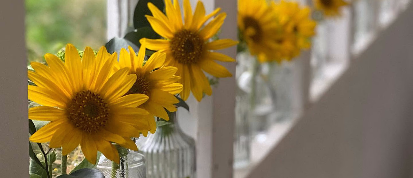 Lær å dyrke blomster hjemme