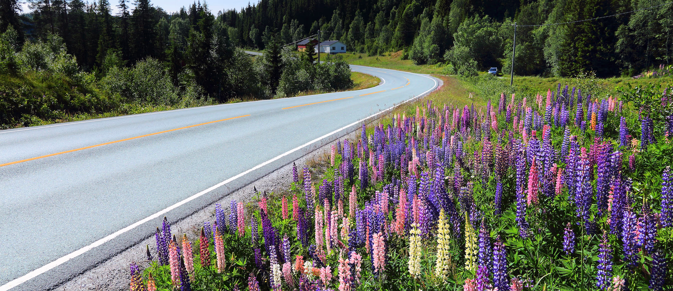 Kjør Vintage Cabriolet halvdag