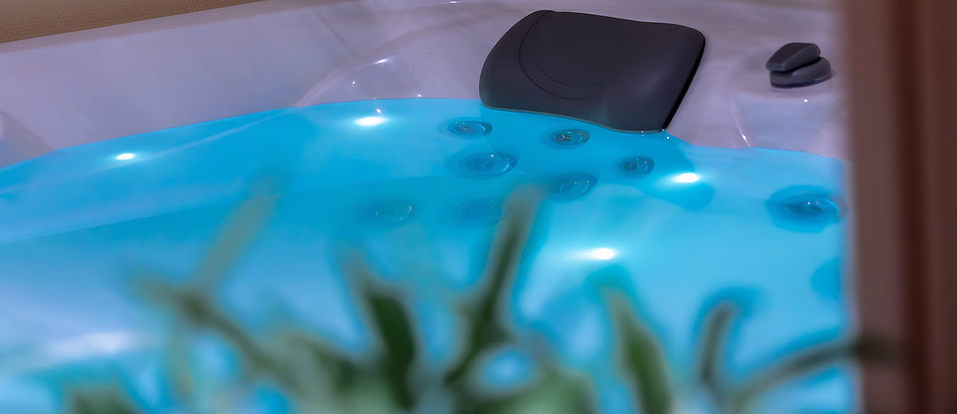 Jacuzzi, sauna & isbad