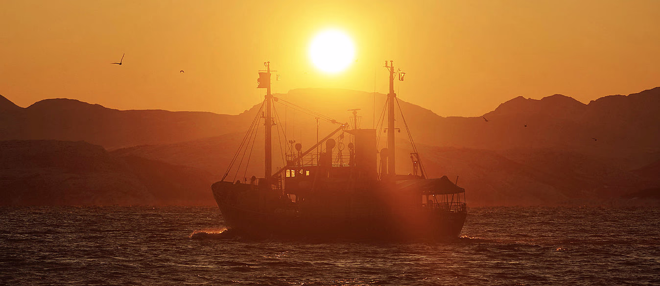 Eagle & Sunset cruise