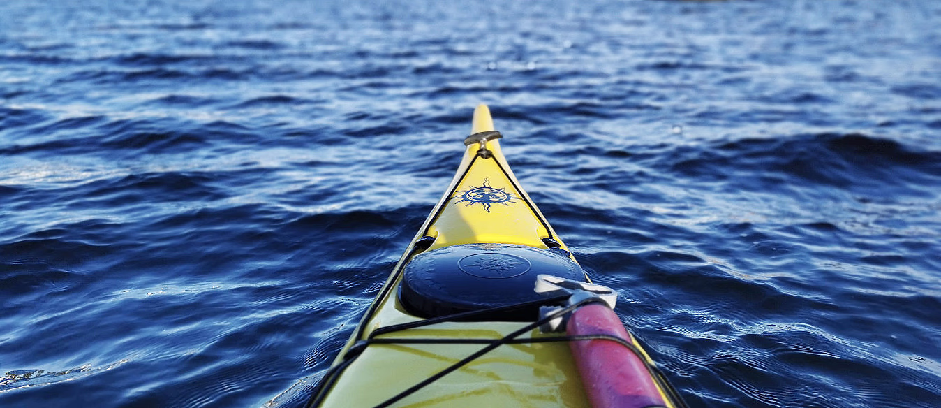Selsafari i kajakk