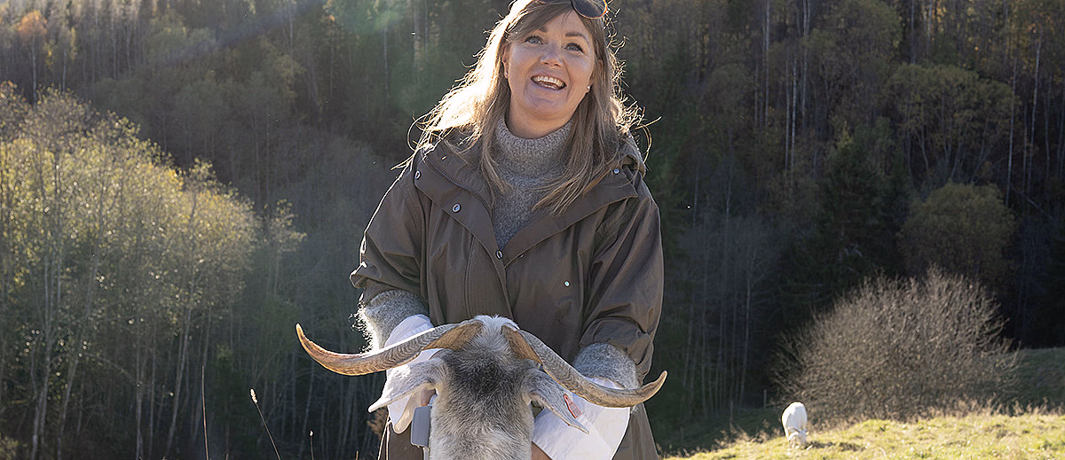 Geitevandring for to