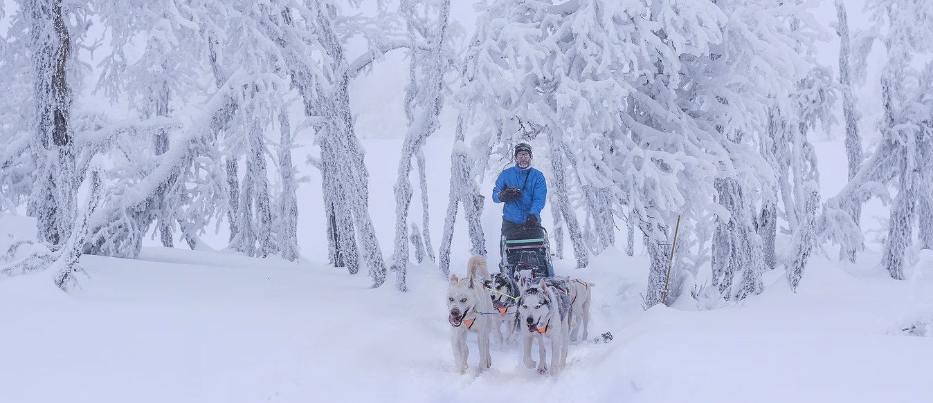 Hundekjøring, kennelbesøk og overnatting