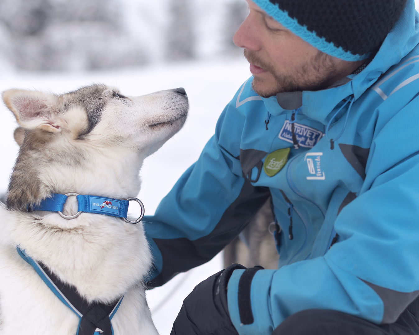 Hundekjøring, kennelbesøk og overnatting