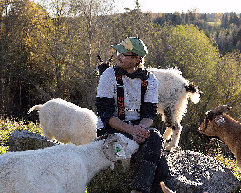 Geitevandring for to