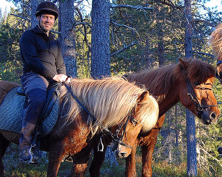Halvdagstur på islandshest