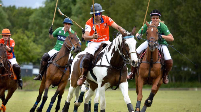 Fire polospillere på hester med køller på en gressbane
