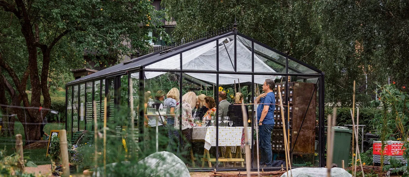 Lær å lage egen kjøkkenhage