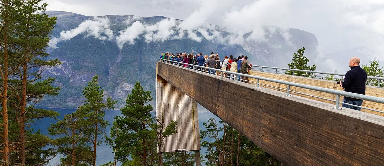 Guidet fjordtur med cruise