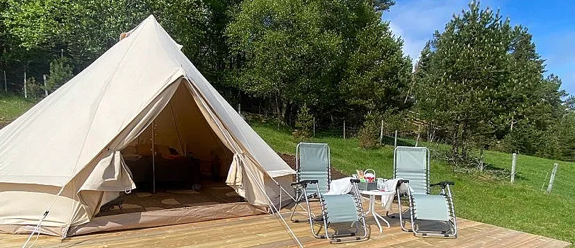 Glamping & alpakkavandring