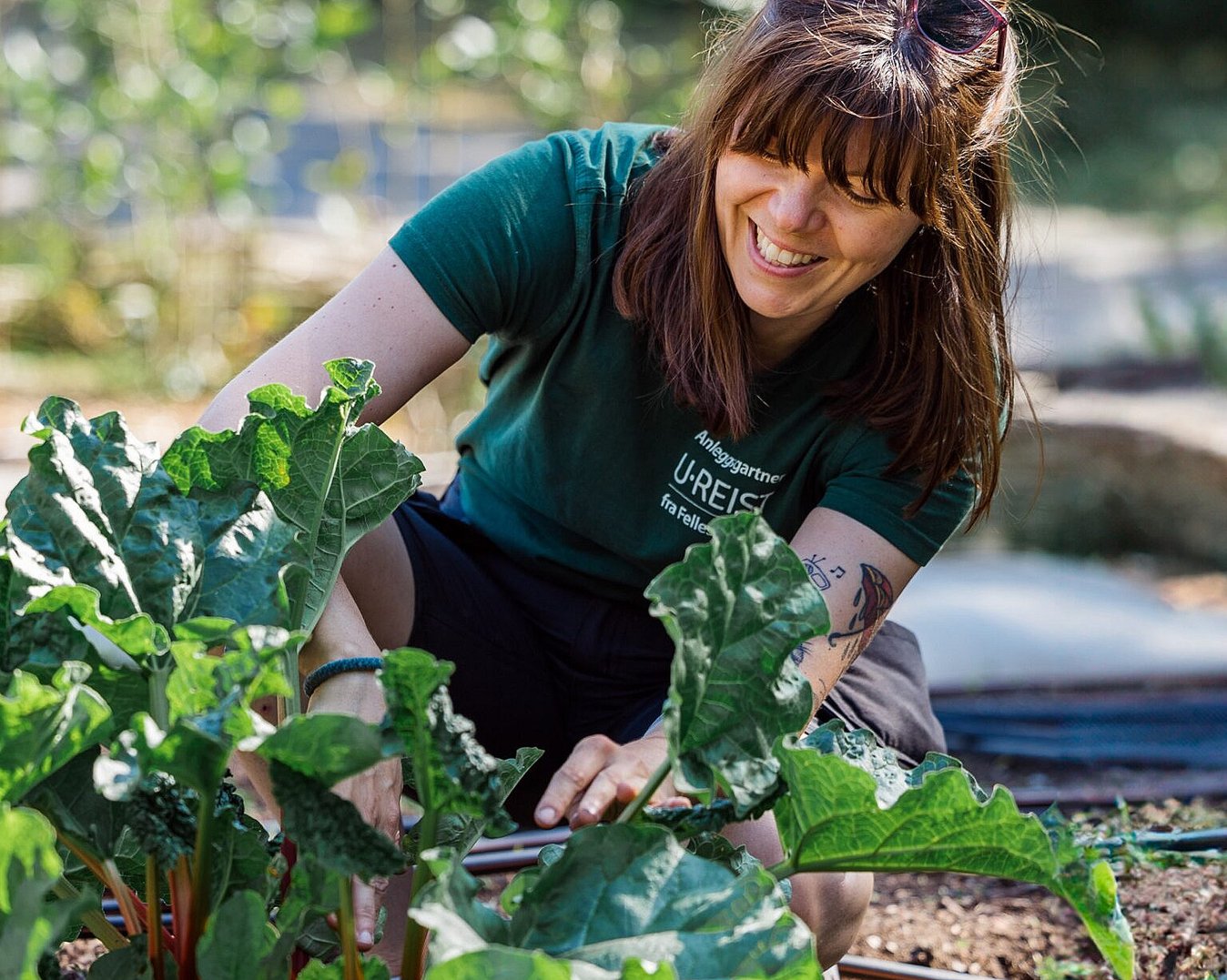 Dyrkekurs for egen hage