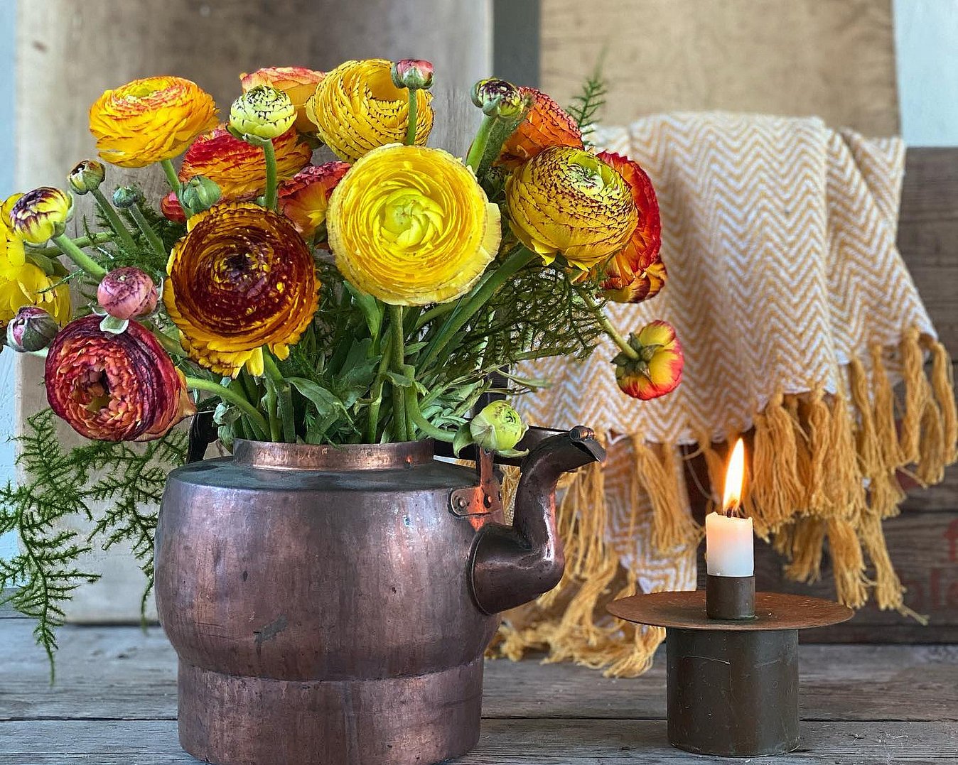 Lær å dyrke blomster hjemme