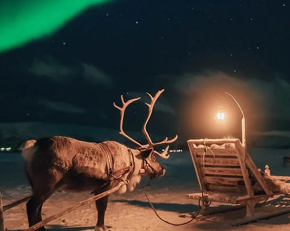 Reinsdyrsafari med sameleir og middag