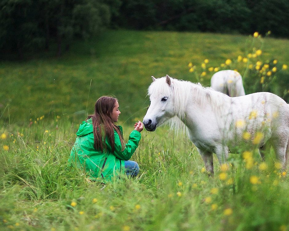 Ponniridning i skogen