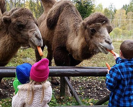 Familiedag i dyreparken