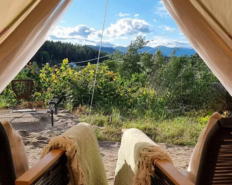 Glamping & alpakkavandring