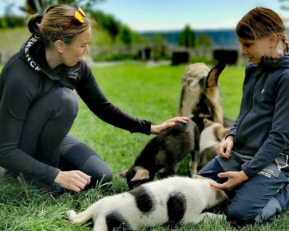 Kennel Husky Besøk