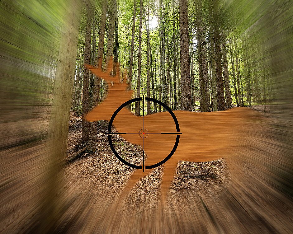 Jaktsimulator for to