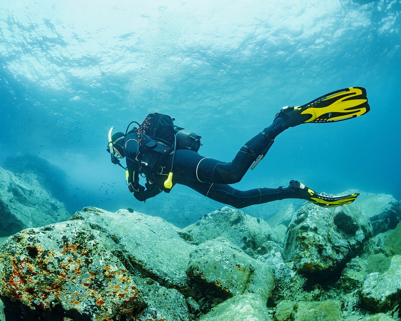 Dykking med divemaster