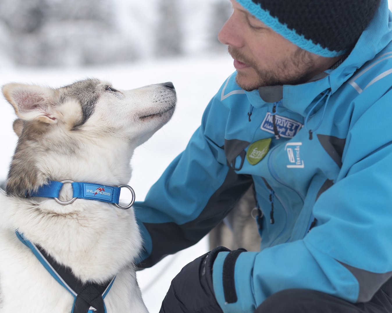 Hundekjøring, kennelbesøk og overnatting