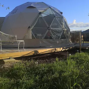 Dome Glamping & alpakkavandring