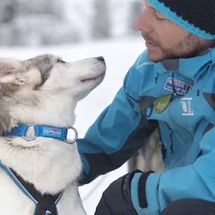 Hundekjøring, kennelbesøk og overnatting