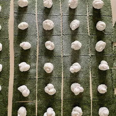 Glutenfri italiensk ravioli masterclass thumbnail 11