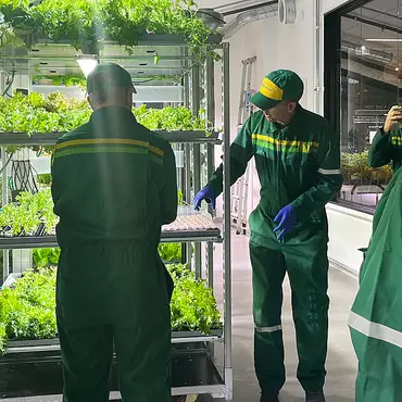 Kurs i vanndyrking thumbnail 2