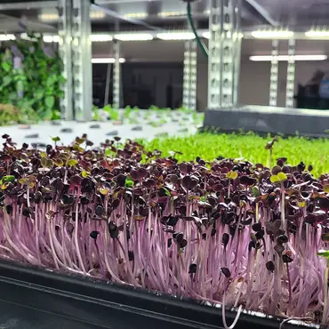 Kurs i vanndyrking thumbnail 3