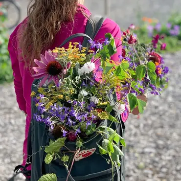 Sankekurs av urter og spiselige blomster thumbnail 1