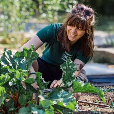 Sankekurs av urter og spiselige blomster thumbnail 4