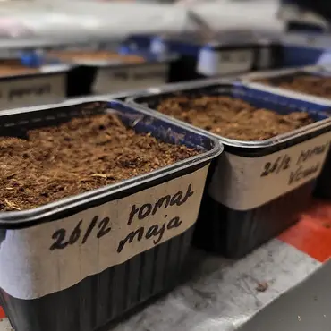 Dyrkekurs for egen hage thumbnail 2