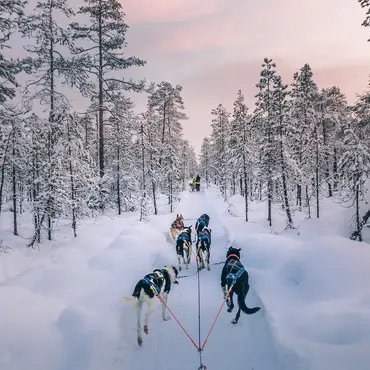 Herregårdsopphold og hundekjøring thumbnail 8