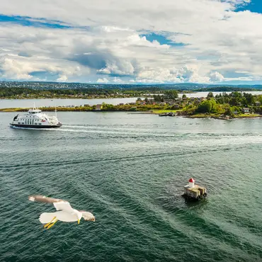 Malmøya hiking experience thumbnail 4